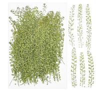 Cayway 100 Pz Fiori Secchi per Resina Naturali Pressati Fiori Pressati Secchi, Fiori Pressati Secchi Naturali per Scrapbooking, Gioielli in Resina Epossidica