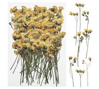 Cayway 100 Pz Fiori Secchi per Resina, Rosso Naturali Pressati Fiori Pressati Secchi, Fiori Secchi Naturali per Candele Fai Da Te Gioielli Resina Partecipazion (A)
