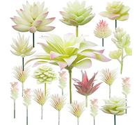 Cayway 20 Pz Succulente Piante Artificiali Cremoso e Rosa Piante Grasse Finte Decorative Uncotted Faux Flower Succulente per Parete DIY Home Decor