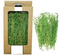 Cayway Arbusti in miniatura modello cespugli lunghi arbusti vegetazione gruppi erba statica ciuffo per fai da te modello treno paesaggio ferroviario scenario, verde erba