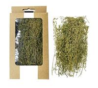 Cayway Ciuffo D'erba Statico Statico Ferroviario Paesaggio Modello Scena in Miniatura Fai da Te per Il Paesaggio Del Giardino Fai Da Te, Verde