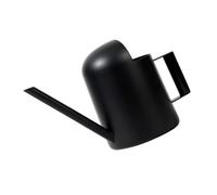 CAZSTYK Annaffiatoio piccolo per piante da interno, in acciaio inox, con beccuccio lungo, 300 ml, piccolo, per piante con beccuccio lungo