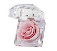 CAZSTYK Custodia per gioielli in ABS con rosa che offre una robusta conservazione e un'organizzazione visibile per i tuoi accessori e portagioie