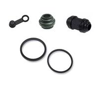 CB 1300 F A SA SC54 da 2003 a 2013 Kit Revisione pinza freno posteriore post