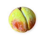 CBAM Scultura da Tavolo Susina Frutta in Marmo Dipinta a Mano Hand Painted Marble Plum Fruit Sculpture