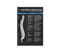 CBQZCHWDKT Chiropractic Anatomy Metal Wall-Art Spinal Nerve Function Chart and Vertebral Subluxation Educational Guide 8 X 12 in