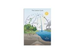 CBQZCHWDKT Earth Environment Poster Climate Change Science Concept Guide | School decor illustrating atmospheric shift biodiversity and action(Unframed,12X18inch(30X45cm))