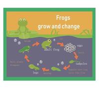 CBQZCHWDKT Frog Life Cycle Educational Poster, Colorful Metamorphosis Diagram for Kids Learning, Science Nature Wall Chart for Home or School(Unframed,12x18inch(30x45cm))