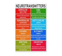 CBQZCHWDKT Mental Health Matters Poster, Understanding Neurotransmitters Infographic, Conversation Starter Wall Art, Modern Canvas Print for School, Kitchen, Office(Framed,16x24inch(40x60cm))