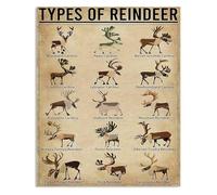 CBQZCHWDKT Simple Types Of Reindeer Metal Sign Reindeer Knowledge Guide for Kitchen Cafe Bar Wall Decor Holiday Christmas Tin Plaque 8 X 12 inch