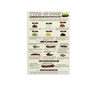 CBQZCHWDKT Stool Type Identification Chart Bristol Scale 1 Through 7 Digestive System Health Metal Wall Sign for Doctor Office Bathroom Patient Area 8 X 12 inch