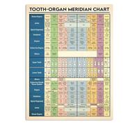 CBQZCHWDKT Vintage Dentistry Knowledge Plaque | Antique Illustration of Teeth Anatomy and Dental Tools | Retro Decor for Dental Practice, Study or Apothecary Bar(Framed,16x24inch(40x60cm))