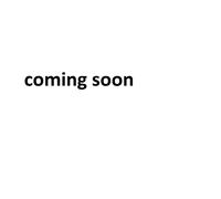 CBR 600 F - Disco da corsa R 2011- - incolore