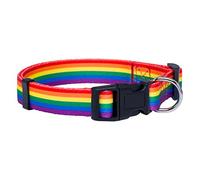 CBROSEY Native Pup Bandiera Arcobaleno Dog Collar, Medium, Rainbow