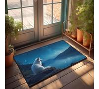 CBRT Zerbino con testo divertente, una volpe bianca che guarda un cielo stellato su un lago sereno, set divertente decorazione per esterni (40 x 60 cm)