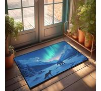 CBRT Zerbino decorativo per la stanza dei ragazzi con orso polare e lupo sotto l'aurora boreale, divertente decorazione per il bagno, zerbino invernale per esterni (40 x 60 cm)
