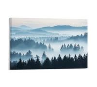 CBWVUWHJW Paesaggio - Mattina nebbiosa nella foresta bavarese, decorazione da parete alla moda - poster artistico da appendere e murale 50 x 75 cm
