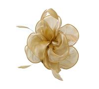 CCAIPU Fascinatori Cappello da Donna con Piume e Fiori, Elegante Cappello a Rete, Accessori per Capelli Cappelli da Sposa (IT, Testo, Taglia Unica, Oro)