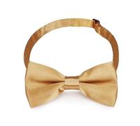 CCAIPU Papillon per Bambini, Carino Modello Papillon Pre-legato Papillon di Seta Regolabile per Bambini Adolescenti per Festa di Compleanno Banchetto di Nozze (Oro Champagner)