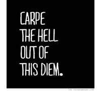 CCI137 - Carpe The Hell out of This Diem Decal | per Auto, Parete, Computer, Computer Portatile, ECC.| 5,75 X 3,75 IT