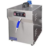 CCKUYT Pulitore a Vapore per Gioielli 1300W, Lavatrice per Gemme a Vapore Professionale per Gioielli, Macchina per Pulitura a Vapore per Gioielli da 2 Litri, per la Pulizia di Diamanti