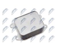 NTY Radiatore olio, Olio motore compatibile con AUDI SEAT SKODA VW VAG CUPRA