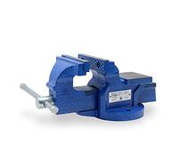 CCLIFE Morsa da Banco 100 mm/125 mm Ghisa Professionale, Modell:100mm