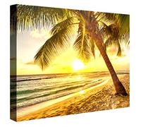 CCRETROILUMINADOS Paradiso Tropicale Quadri con Luce, Metacrilato, Multicolore, 60x60x5.3 cm
