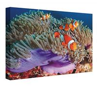 CCRETROILUMINADOS Quadro Retroilluminato Oceano