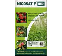 CCS MICOSAT F UNO inoculo di funghi micorrizici confezione da 200 grammi