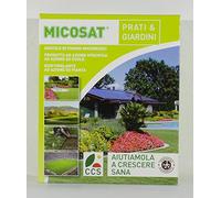 CCS OSTA FERTILIZANTE F WP 1KG INOCULO DI FUNGHI MICORRIZICI IN CONF. DA 1 KG