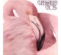 CD 11B CHRISTOPHER CROSS OTHER PAGE 2025 FOREVER YOUNG JAPAN NUOVO
