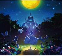 CD Aimer Ti Prego Film Fate/stay Night [Heaven's Feel] Edizione Limitata NUOVA