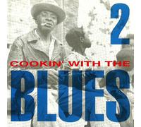 (CD Compilation, 15 Titel, Diverse Künstler) John Lee Hooker - Black Man Blues / Screamin' Jay Hawkins - This Is All / Big Joe Williams - Watergate Blues / Junior Wells - You Sure Look Good To Me / Peter Green - Post Modern Blues / Luther Allison - You Upset Me Baby u.a.