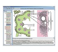 CD con micro immagini per la serie scolastica C