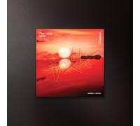 (CD) DOMANI X INSIEME - Star Chapter: Together (Afterglow Ver.) Random Ver.
