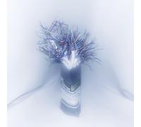 CD Ghost When the Rain Stops (CD) Album