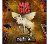 CD MR. BIG WHAT IF... NUOVO SIGILLATO