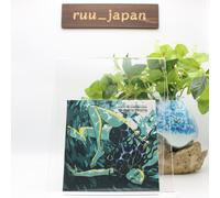 CD New AWAKENING:SLEEPING (ristampa) Japan MASS OF THE FERMENTING DREGS Music