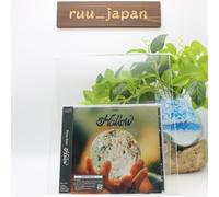 CD New Stray Kids Hollow Standard Edition CD Japan