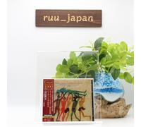 CD SEIJI OZAWA -STRAVINSKY: LA SACRA DELLA PRIMAVERA. PETROUCHKA E FUOCHI...