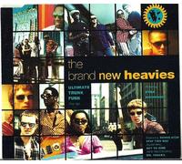 (CD Single, 4 Tracks, BRAND NEW HEAVIES - N'Dea Davenport) Never Stop / Stay This Way (Slam Mix) / Got To Give / Mr. Tanaka u.a.