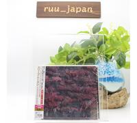 CD Sleep Token Even In Arcadia Japan con traccia bonus SICP-6703
