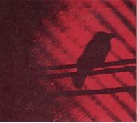 Thee Silver Mt. Zion – Born Into Trouble As the Sparks Fly – Vinile LP