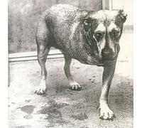 Alice In Chains - Alice In Chains [2 LP]