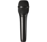 Audio-Technica AT 2010