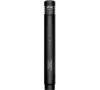 Audio-Technica AT4041 Microfono a Condensatore per Strumenti