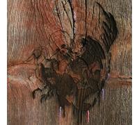 Avey Tare Slasher Flicks - Enter The Slasher House (180 g) (2 LP)