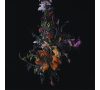Big Brave - Nature Morte (Limited Edition) (Lavender Coloured) (LP)