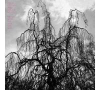 Stetson Colin & Sarah Neufeld - Never Were The Way She Was